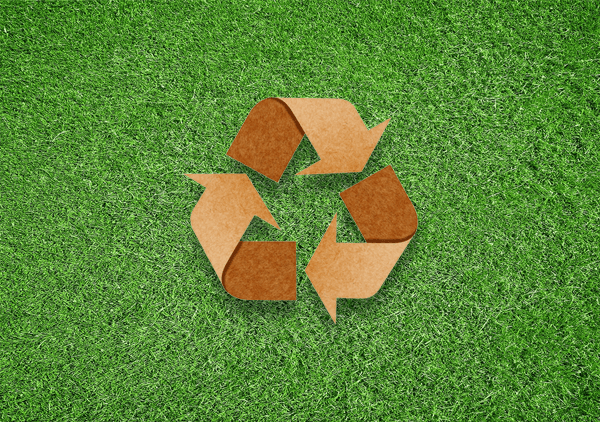 Eco-Consciousness
